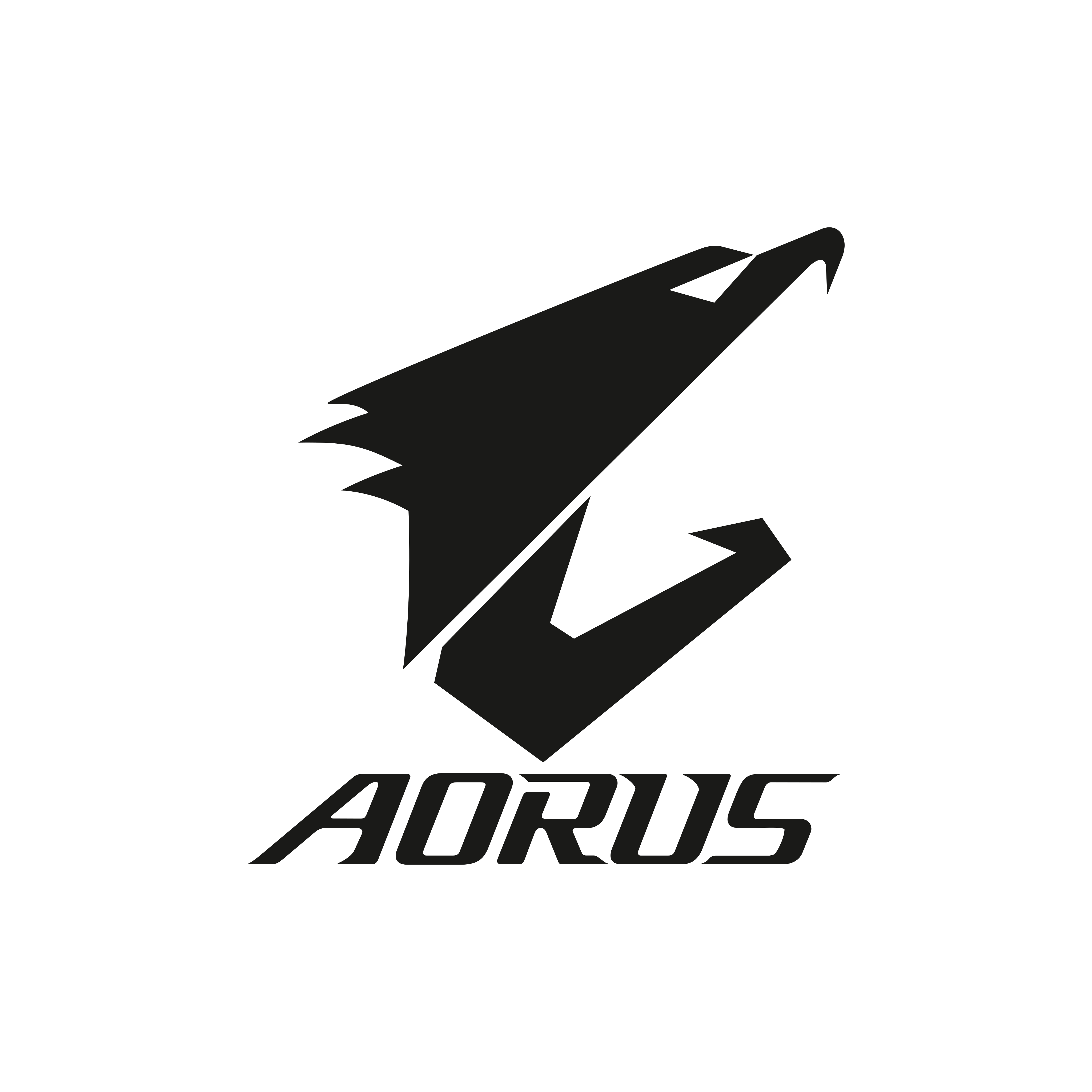 Aorus